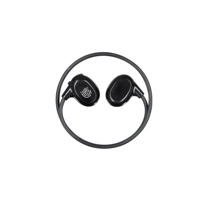 Pulsex Earphones - BLACK