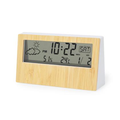 Roamer Weather Station -
