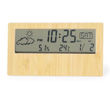 Roamer Weather Station -