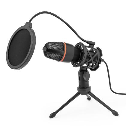 Densha Condenser Microphone - BLACK