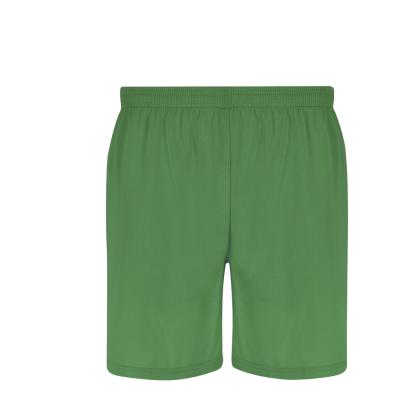 Rudig Shorts - GREEN