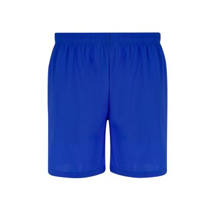 Rudig Shorts - BLUE