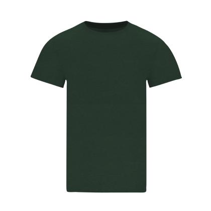 Stiles Adult Colour T-Shirt - GREEN BOTTLE