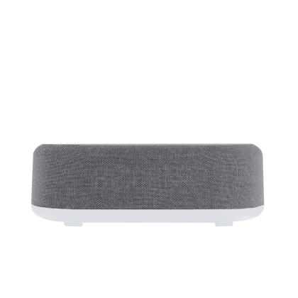 Quinn Multifunction Alarm Clock - GREY