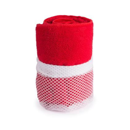Gymnasio Absorbent Towel - RED