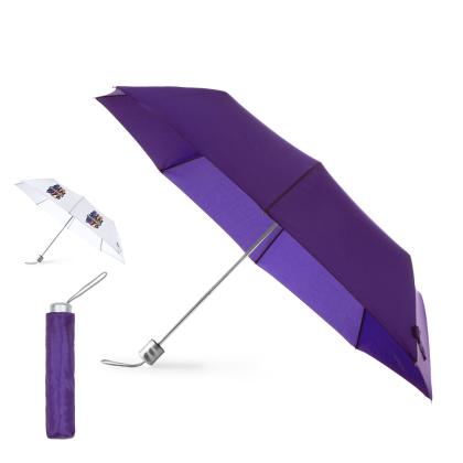 Ziant Umbrella - PURPLE