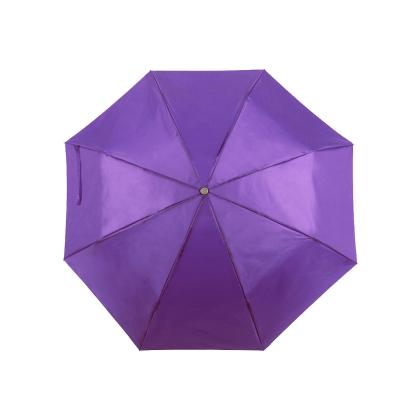 Ziant Umbrella - PURPLE