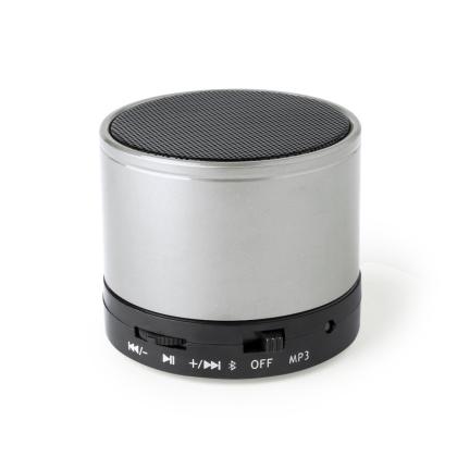 Martins Speaker - SILVER