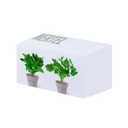 Nertel Flowerpot Set -