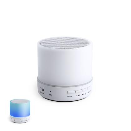 Stockel Speaker - WHITE