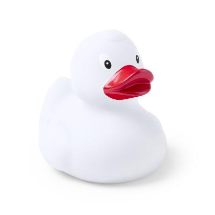 Koldy Duck - WHITE