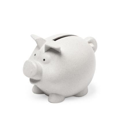 Darfil Money Box - NATURAL