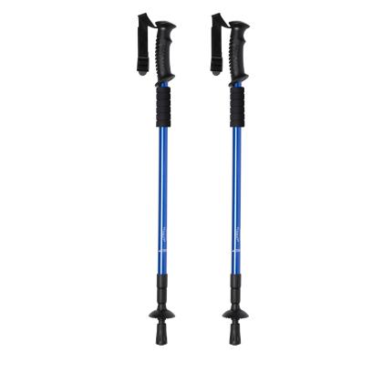 Brulen Walking Poles Set - BLACK