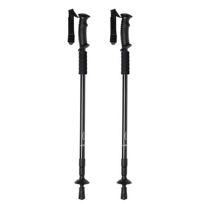 Brulen Walking Poles Set - BLACK