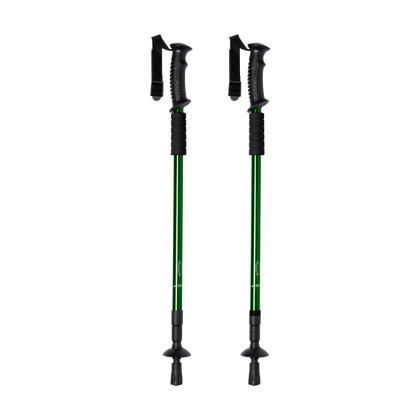 Brulen Walking Poles Set - GREEN