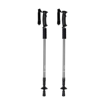 Brulen Walking Poles Set - SILVER