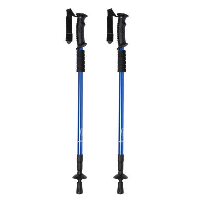 Brulen Walking Poles Set - BLUE