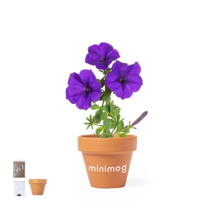 Soltax Flowerpot -