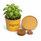 Desktop Herb Garden - Basil - Full Colour Label