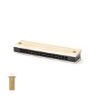 Blues Harmonica -