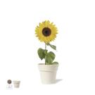 Tumil Flowerpot -