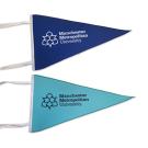 Printed American Style Pennants (mini to large sizes available)