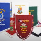 Embroidered Pennants  (mini to large sizes available)