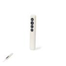 Lesi Presenter Laser Pointer - NATURAL