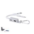 Leony Charger USB Hub - SILVER