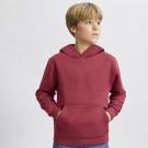 Draco Kids Sweatshirt - BLUE