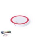 Radik Charger - GREY