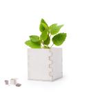 Merin Flowerpot -