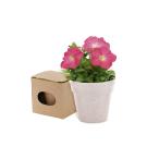 Advert Flowerpot - NATURAL
