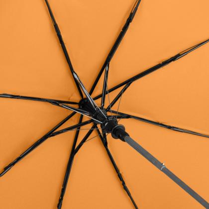 FARE AC mini Umbrella