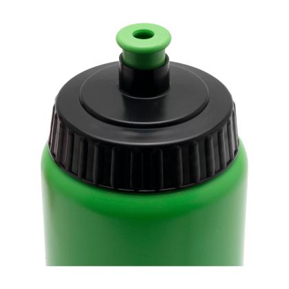 Sugarcane Bio Bidon 500 ml drinking bottle