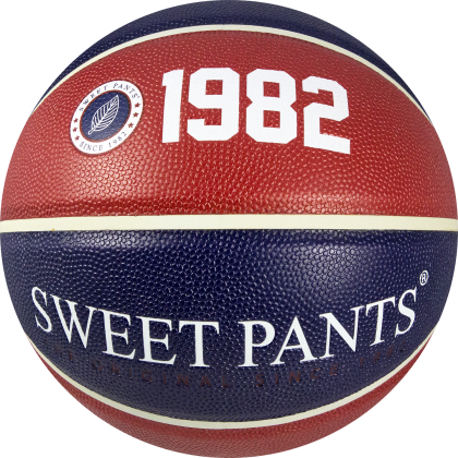 Laminated Pvc Basketball On Rubber Base &ndash; Mini Size