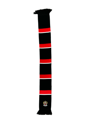 Knitted Scarf Stripped And Embroidered Quality