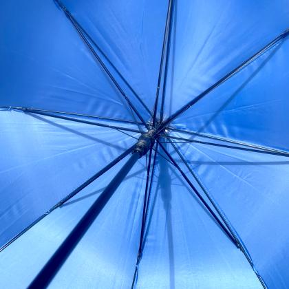 Budget Walker Umbrella