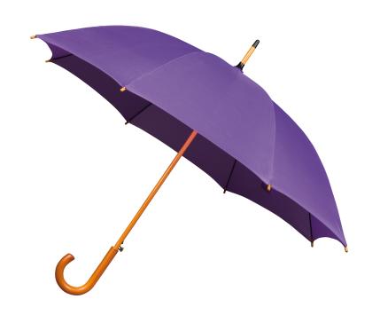 Classic WoodCrook Umbrella