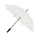 Budget Walker Umbrella