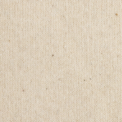 IQONIQ Manuel recycled cotton t-shirt undyed