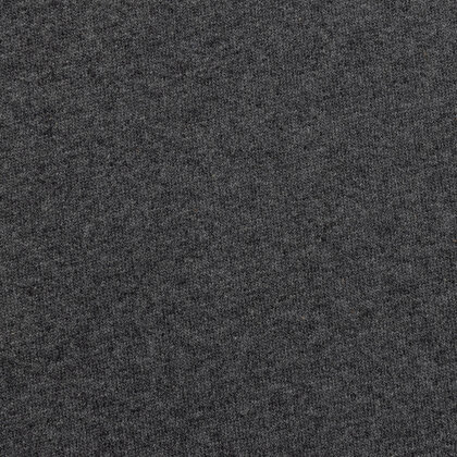 IQONIQ Denali recycled cotton crew neck undyed