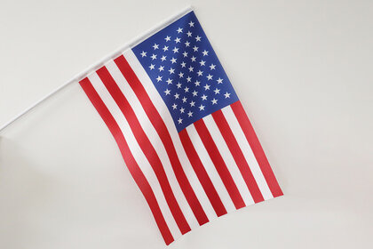 EKSEN Polyester Hand Waving Flag