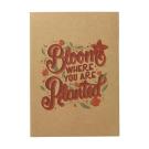 Vano A4 document folder