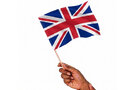 EKSEN Polyester Hand Waving Flag