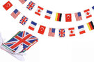 FESTA Bunting Flags