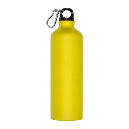 Metal Drinking Bottle with Carabiner Brno 800 ml