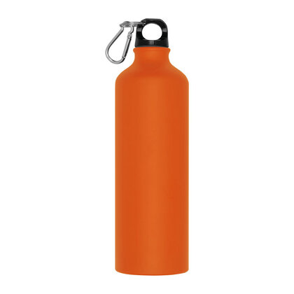 Metal Drinking Bottle with Carabiner Brno 800 ml