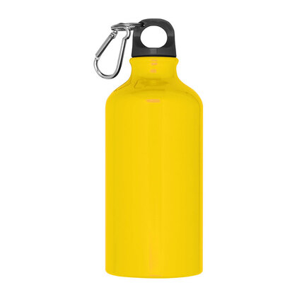 Metal Drinking Bottle with Carabiner Kielce 500 ml