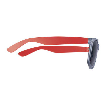 Sunglasses Dakar